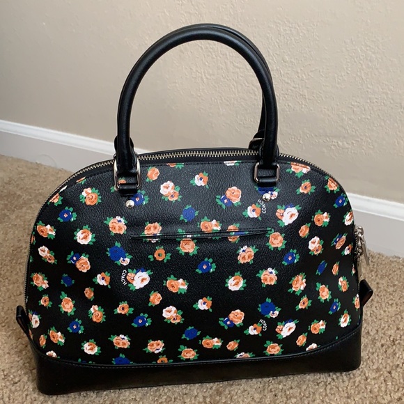 Coach - Picture 3 of 9